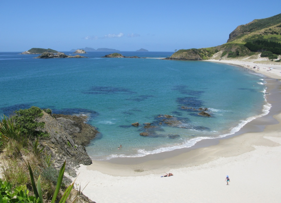 The coast includes sandy beaches, rock pools and rocky cliffs where plants and animals have to be adapted to ever changing conditions. Image: LEARNZ.