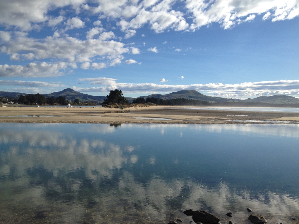 Everyone can help look after our marine areas. Image: LEARNZ.