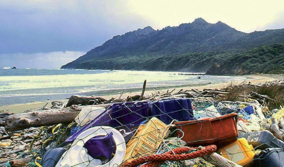 Pollutants from land, including plastic can end up in the sea and washed up on beaches. Image: Hedgehog House.