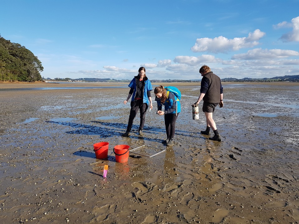 You could investigate what lives in an estuary. These scientists are using metre square quadrats to record species and collect samples. Image: Sustainable Seas Challenge.
