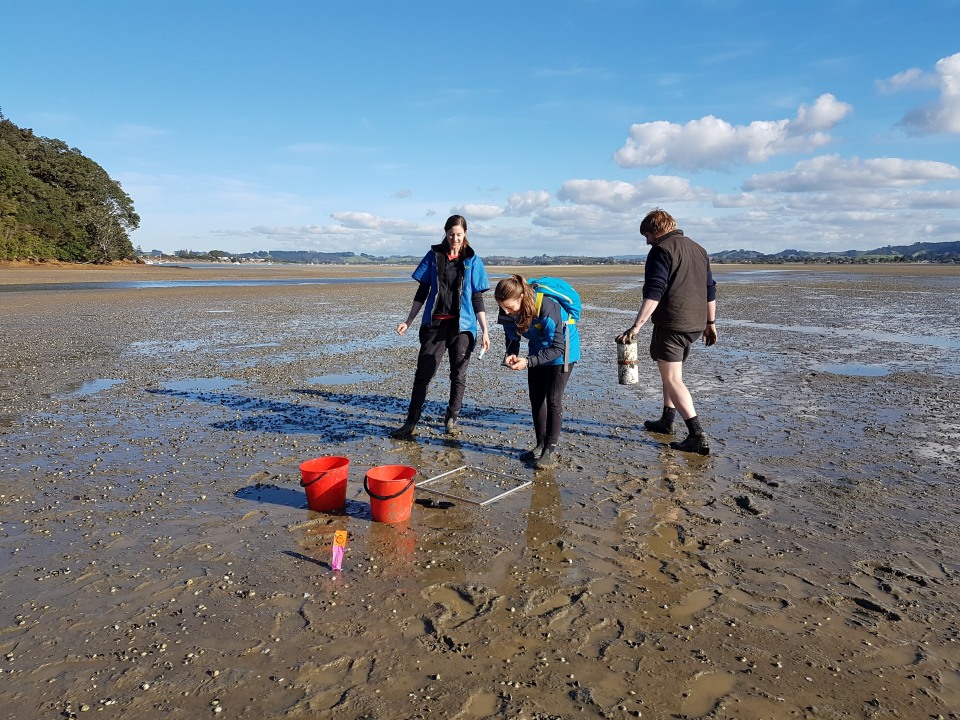 The Sustainable Seas National Science Challenge brings together a group of experts who are working on creating a new way of managing our marine ecosystems called ecosystem-based management (EBM). 