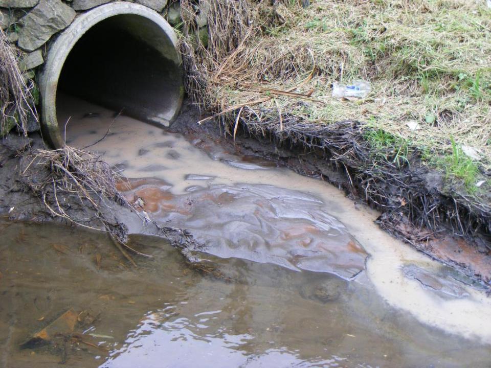 Sediment and pollution from land drains from rivers into the sea where it can harm marine life. Image: NIWA.