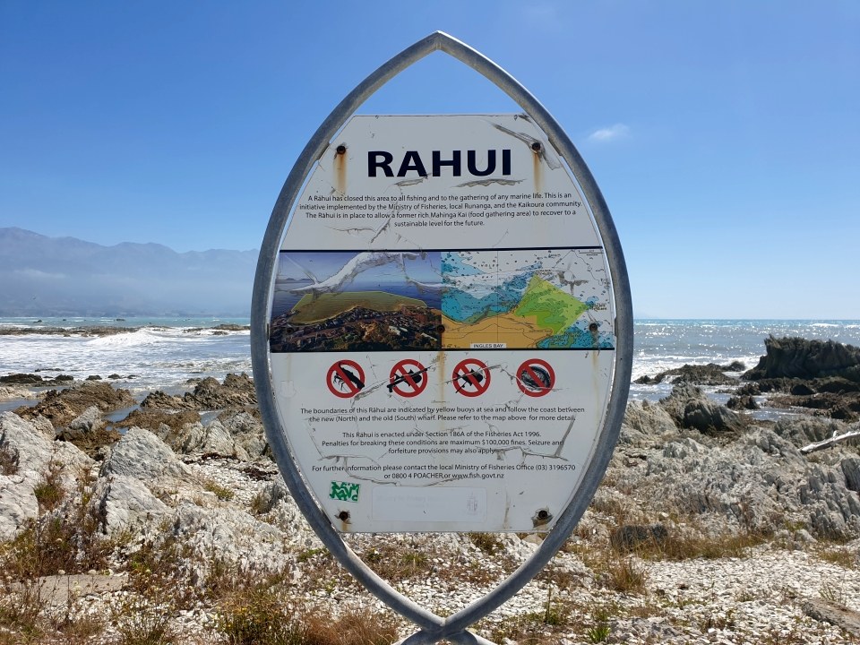 A rāhui is a ban or restriction to protect and restore the mauri of te taiao and taonga species. Image: LEARNZ.