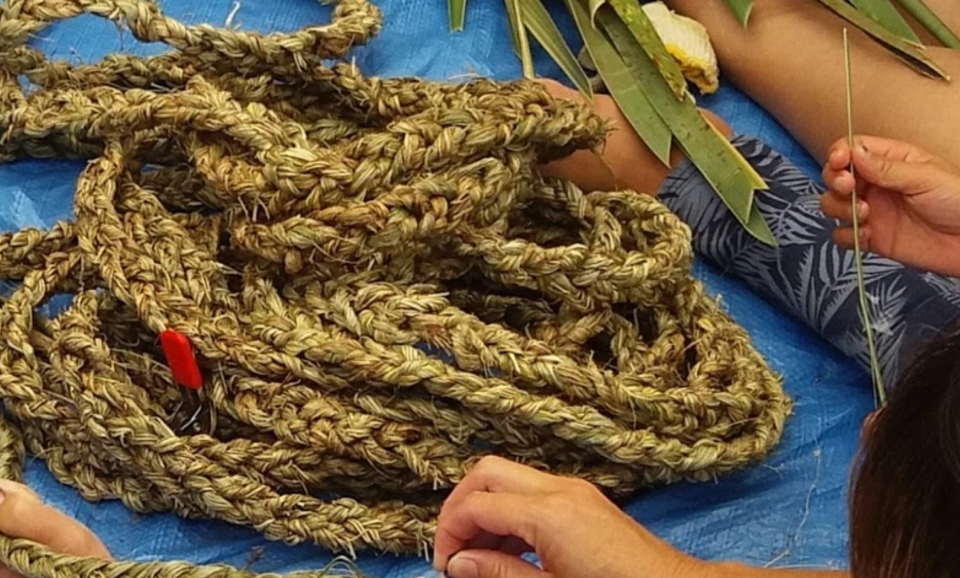 Harakeke is being trialled as a alternative to plastic spat-catching rope. Image: Ngāti Munuhiri Settlement Trust.