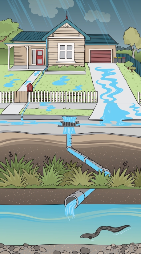 The stormwater cycle. Image: Environment Canterbury.
