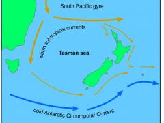 motion ocean currents blow prevailing gyre winds waikato hub pacific warm learning science university south learnz tasman zealand across sea