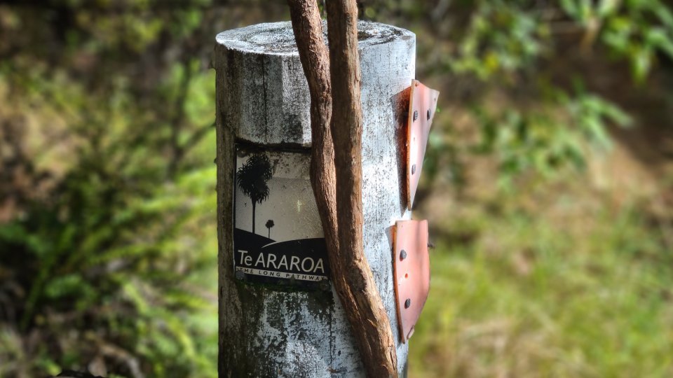 Te Araroa Trust is the kaitiaki for the trail. Image: LEARNZ.