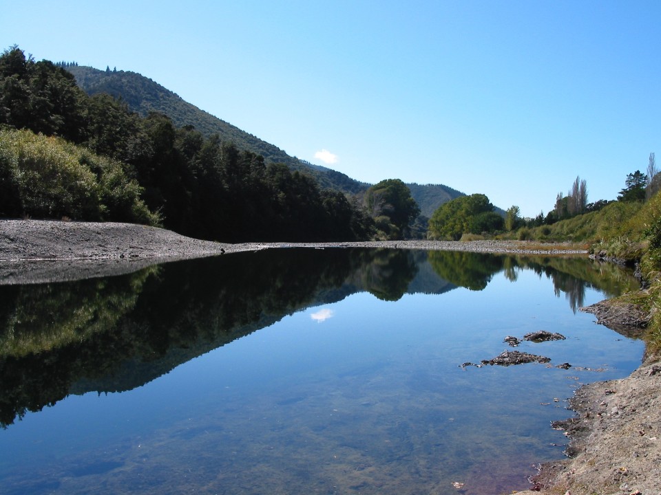 Totara Flat, Te Hoiere. Image: Peter Hamill.