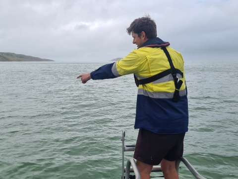 Field trip videos about seabed mapping