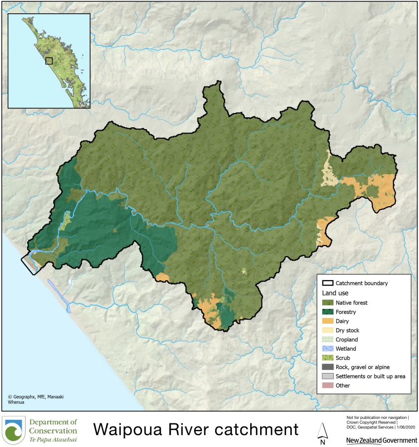 The Waipoua River runs through Waipoua Forest and has a small area of farmed land in the headwaters and 950 ha of regenerating forest, food-producing land, and pine forest near the coast. Image: Te Papa Atawhai | Department of Conservation.
