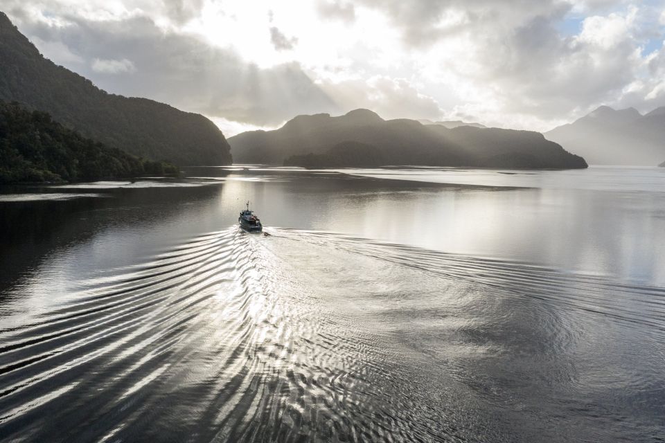 Aotearoa has many unique ecosystems worth restoring and protecting. Image: Pure Salt.